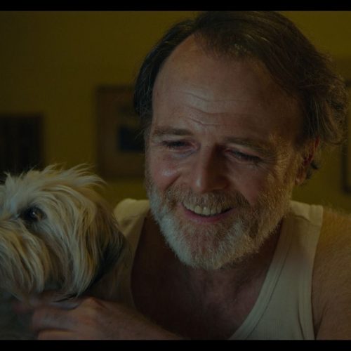 VIII FESTIVAL INTERNACIONAL DE CINE DE LAS ALTURAS. Competencia Ficción: Siete Perros