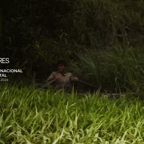 Toda la programación del 24 DOC BUENOSAIRES