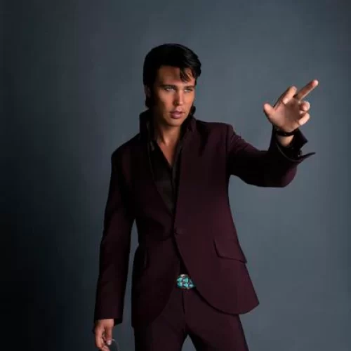 La soledad del ídolo. Crítica: Elvis