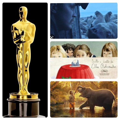 <strong>PALPITANDO LOS OSCAR 2023</strong>  (IV)
