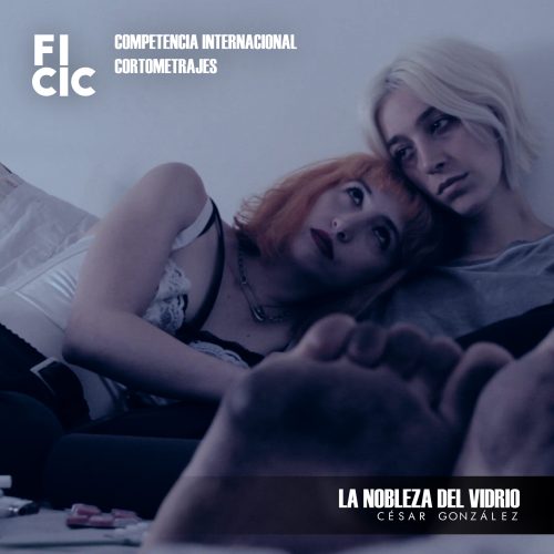 Todas las actividades y películas para el segundo día de 10 FICIC