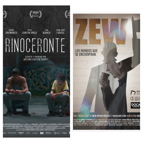 <strong>#CONSTRUIRCINE 2023 RINOCERONTE/ ZEW</strong>