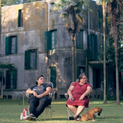 #38MDQFILMFEST COMPETENCIA LATINOAMERICANA. EL CASTILLO