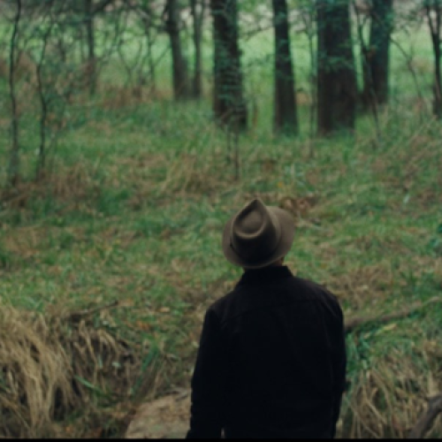 #38MDQFILMFEST A propósito de Mixtape La Pampa. Música, pájaros, exilio y democracia.