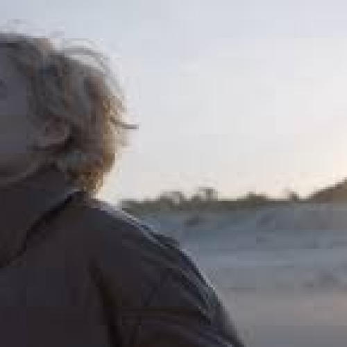 Marea Baja. Crítica: LOS TERRENOS