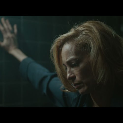 Ese oscuro objeto de deseo. Crítica: El perfecto David.