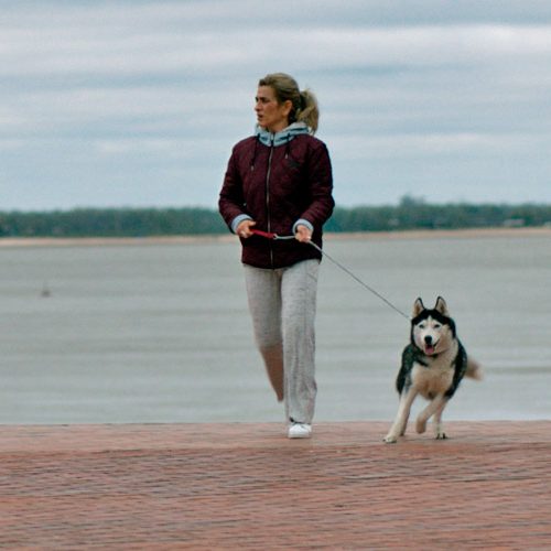 Todos los perros van al cielo. Crítica: PERROS DEL VIENTO